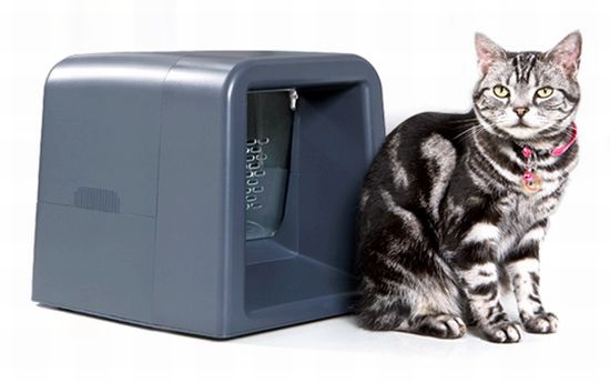 Cat 2025 feeding system